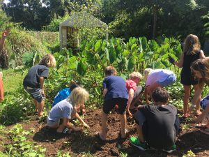 Kauai Gardening Resources