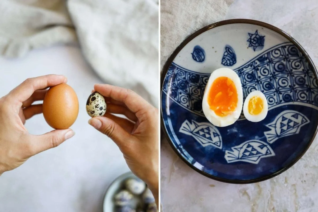 Quail Egg Delights 12 Uses & Some Fun Facts